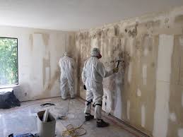 Best Asbestos and Lead Testing During Mold Inspection  in Dos Palos, CA